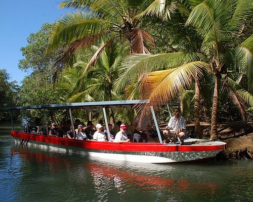 A surfer riding a wave in Jaco